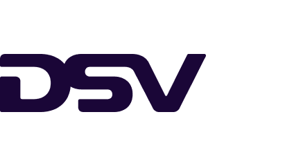 dsv logo