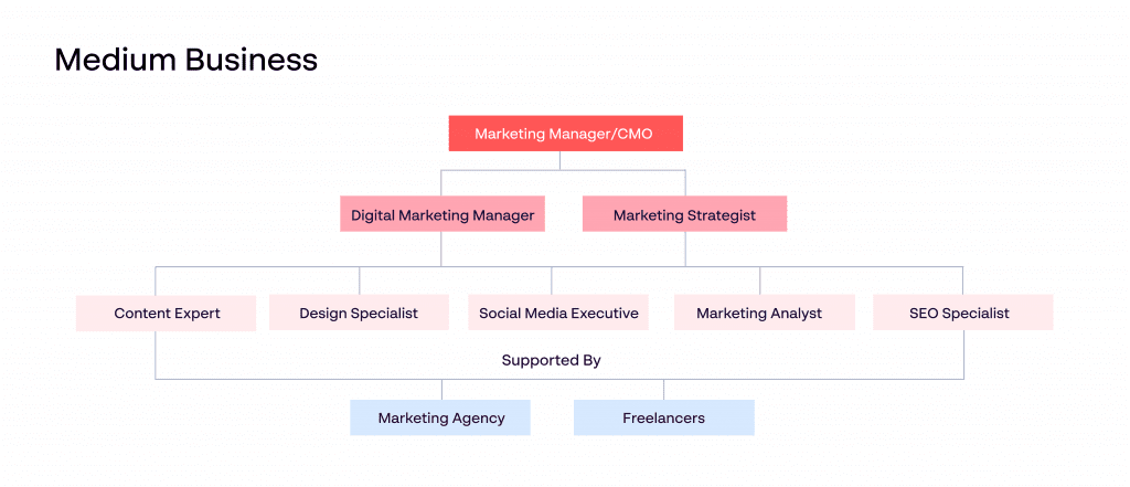 marketing-roles-in-medium-businesses