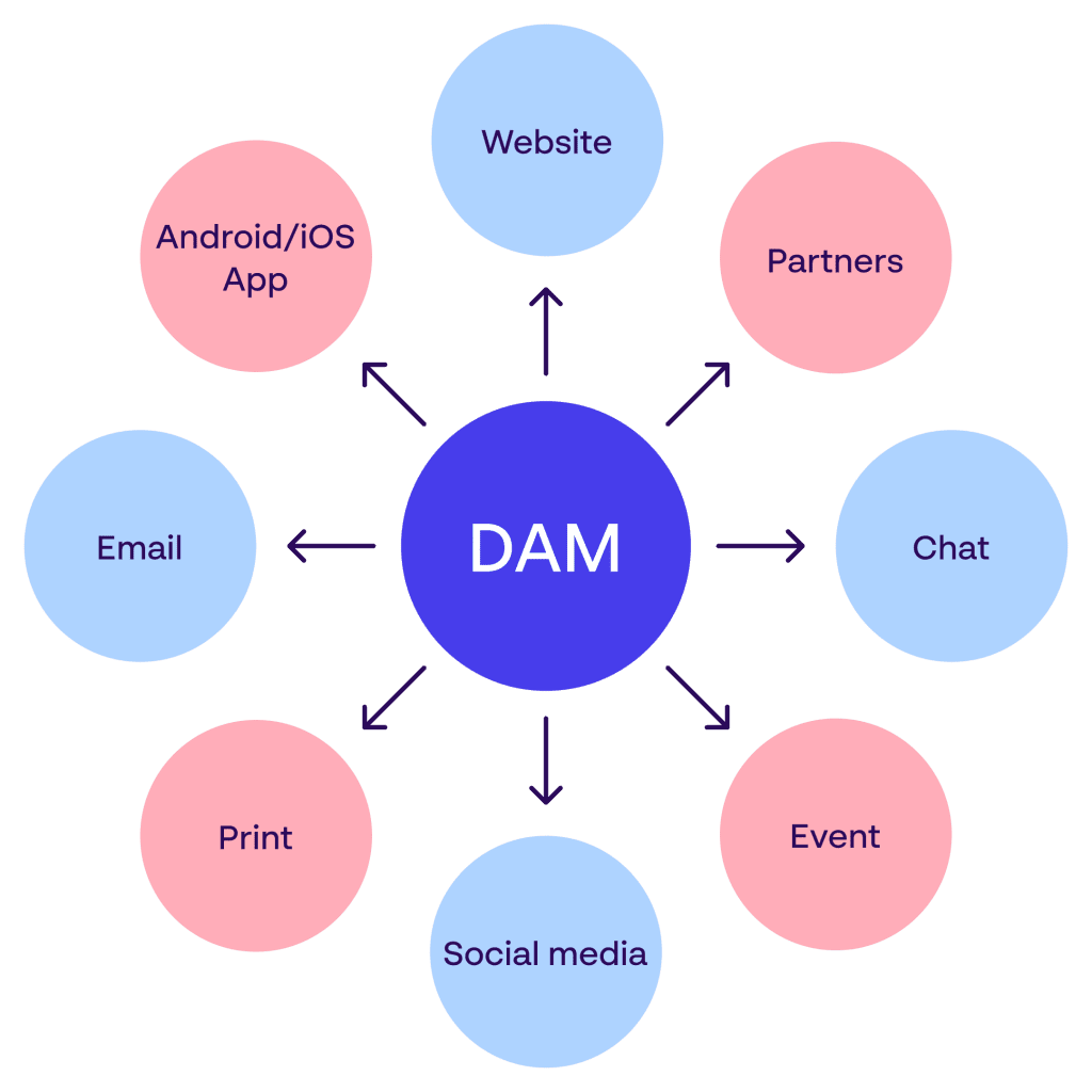 DAM ecosystem