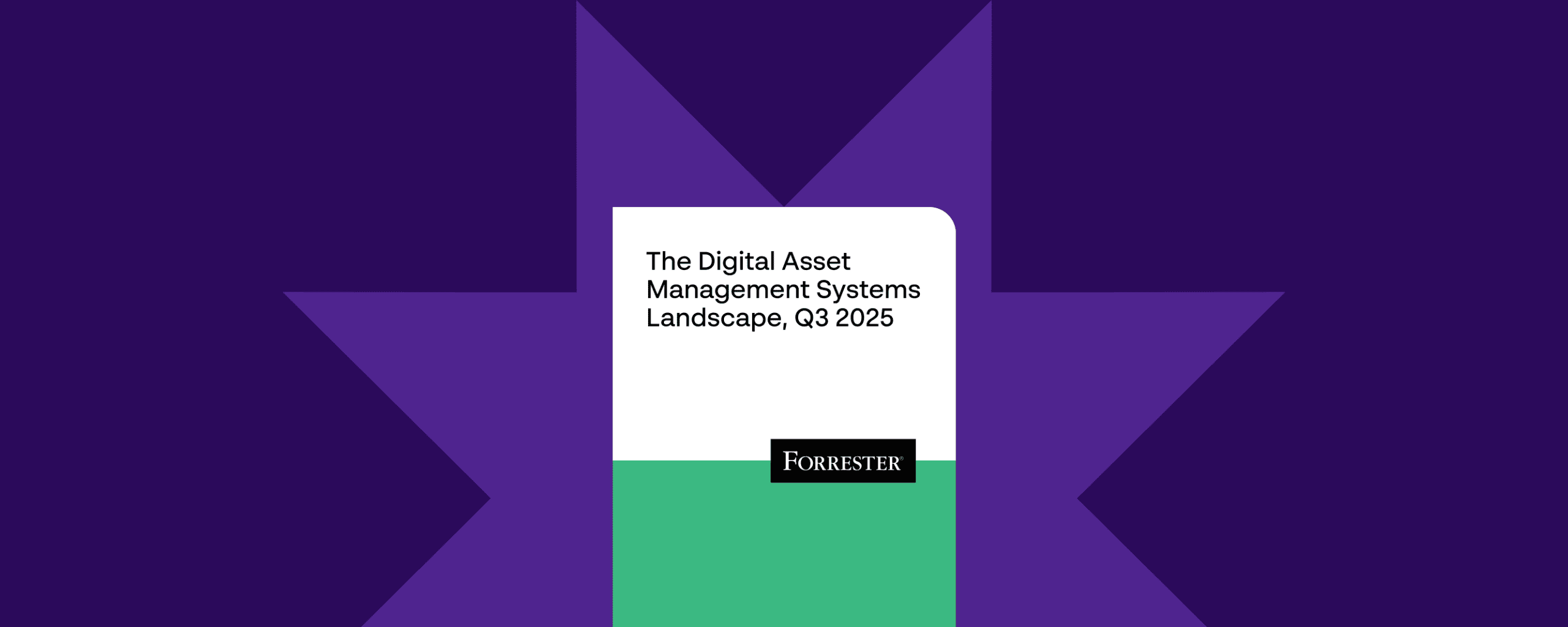 Cover page of Papirfly’s DAM report referencing Forrester's 2025 landscape for brand leaders