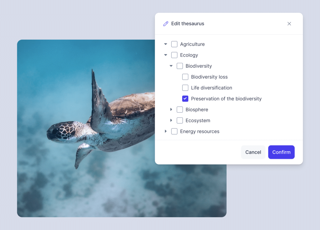 A "Flexible Metadata Thesaurus" tool showing a structured hierarchy of category tags for better asset searchability.